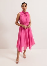 Petite Lucinda Dress Pink