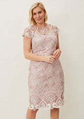 Frances Lace Fitted Dress Petal