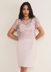 Petite Isabella Lace Midi Dress Antique Rose
