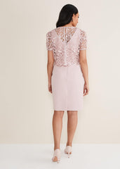 Petite Isabella Lace Midi Dress Antique Rose