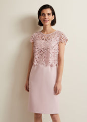 Daisy Lace Midi Dress Pale Pink