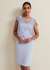 Petite Daisy Lace Double Layer Dress Pale Blue