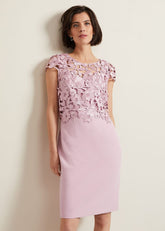 Tallula Lace Dress Pink