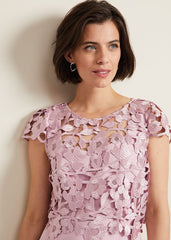 Tallula Lace Dress Pink