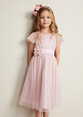 Jasmine Tulle Fit And Flare Dress Antique Rose