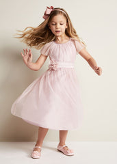 Jasmine Tulle Fit And Flare Dress Antique Rose