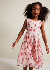 Mirabel Floral Fit And Flare Dress Multi-Coloured