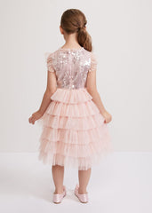 Bobbi Pale Pink Beaded Tulle Dress Pale Pink