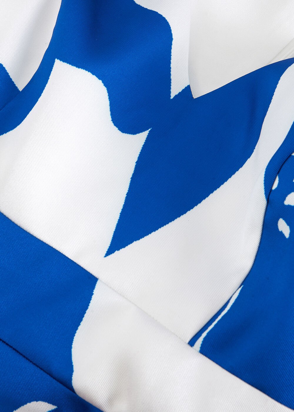 Delicia Print Dress Cobalt