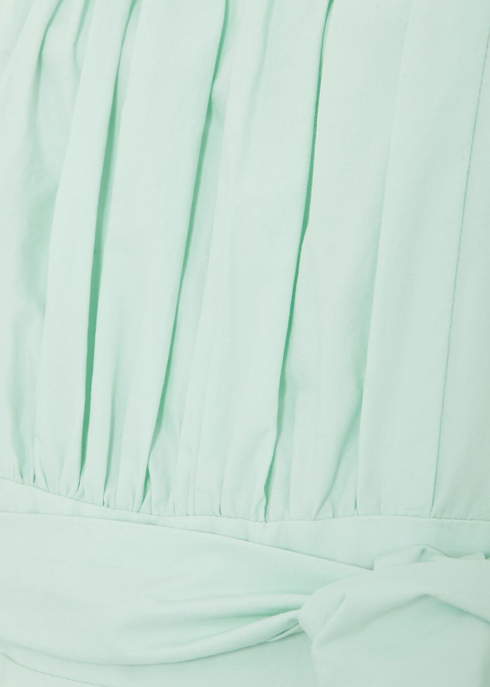 Petite Melinda Dress Pale Green