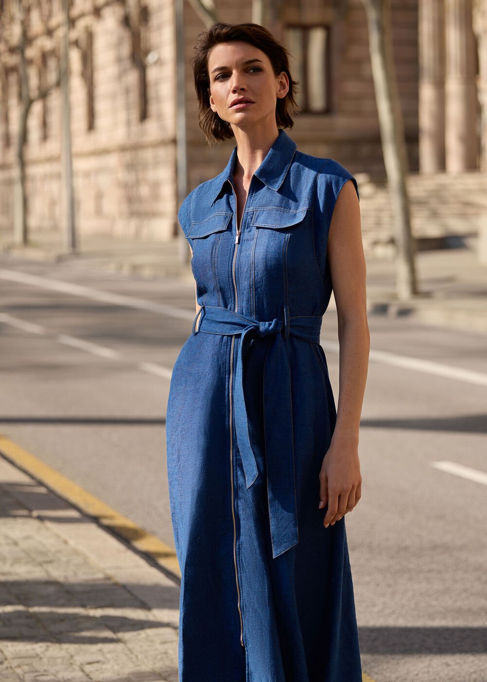 Luiza Denim Dress Denim