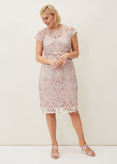 Frances Lace Fitted Dress Petal