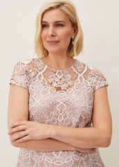 Frances Lace Fitted Dress Petal