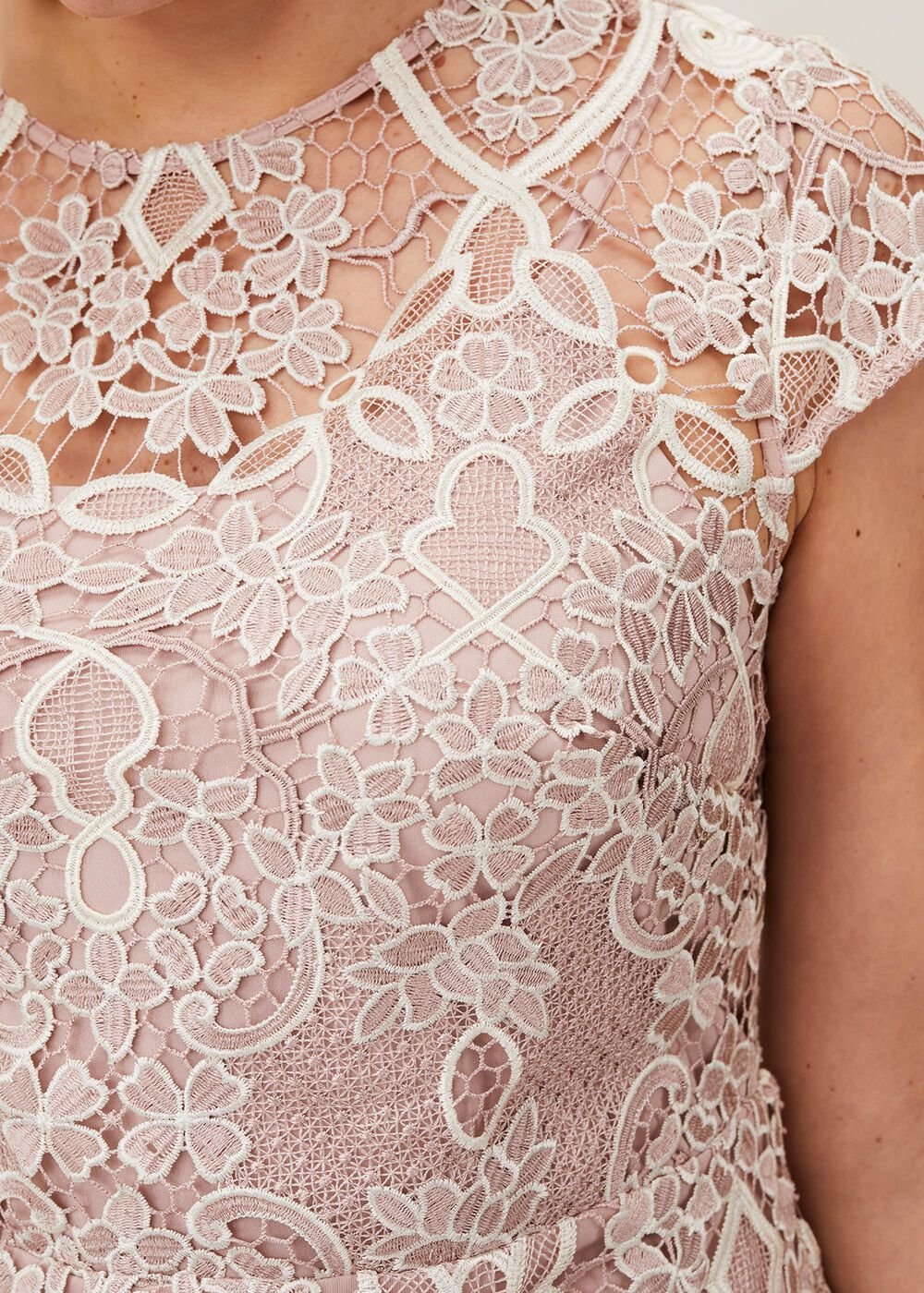 Frances Lace Fitted Dress Petal