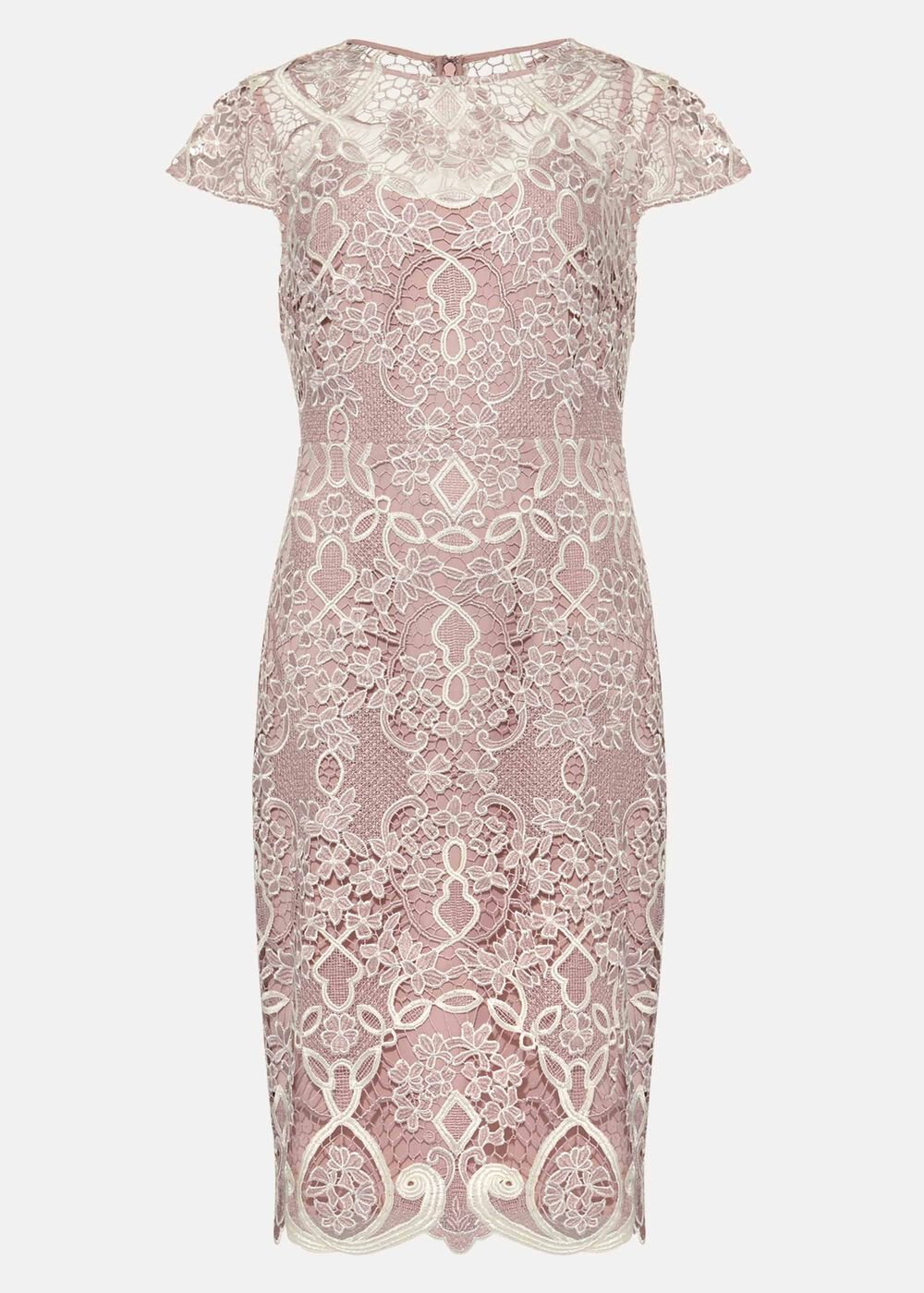 Frances Lace Fitted Dress Petal