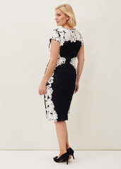 Nori Tapework Lace Fitted Dress Navy/Ivory