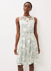 Aria Embroidered Fit And Flare Dress Eau De Nil