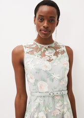Aria Embroidered Fit And Flare Dress Eau De Nil