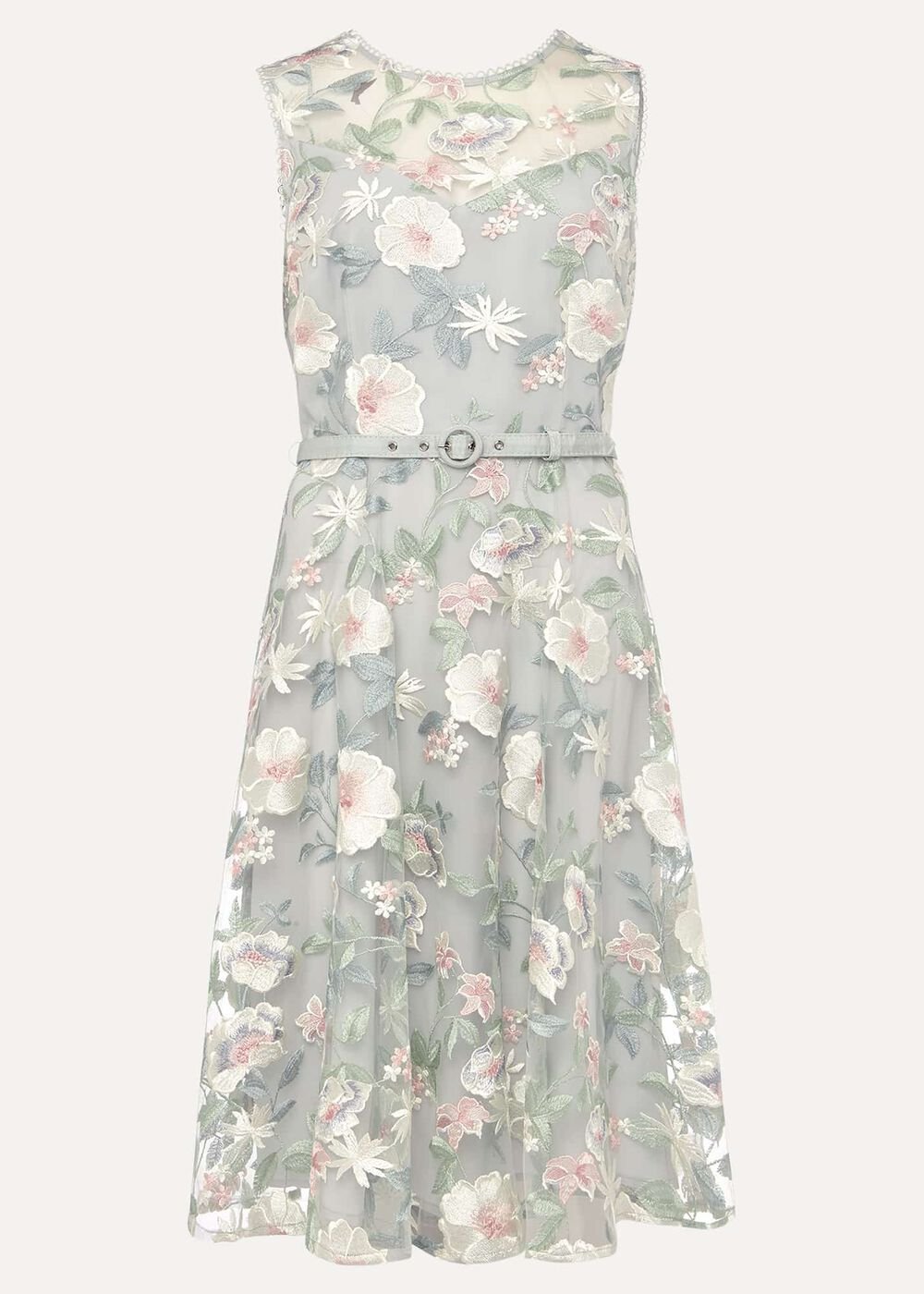 Aria Embroidered Fit And Flare Dress Eau De Nil