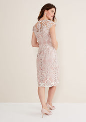 Classic Pink Lace Overlay Pencil Dress Petal