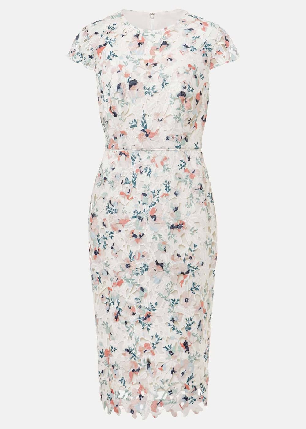 Petite Franky Floral Lace Dress Ivory/Multi