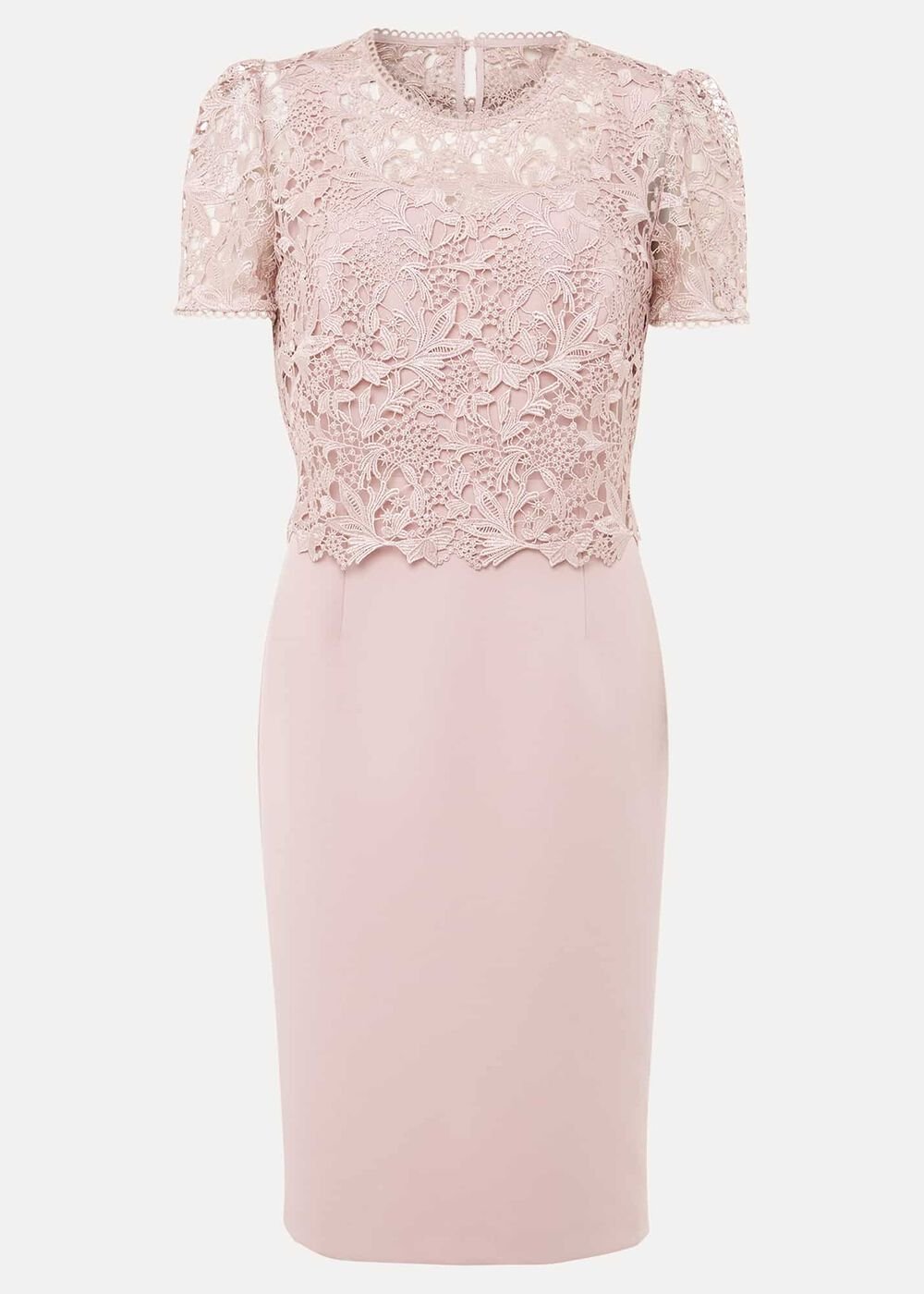 Petite Isabella Lace Midi Dress Antique Rose