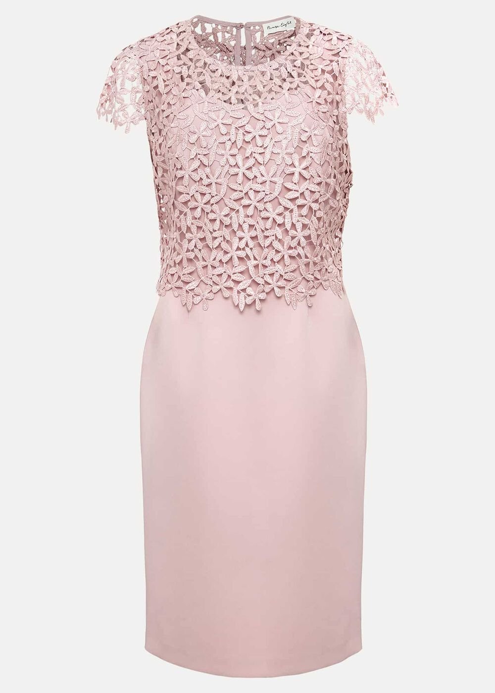 Daisy Lace Midi Dress Pale Pink