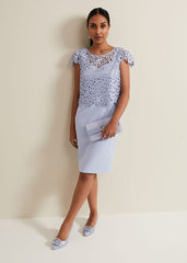 Petite Daisy Lace Double Layer Dress Pale Blue