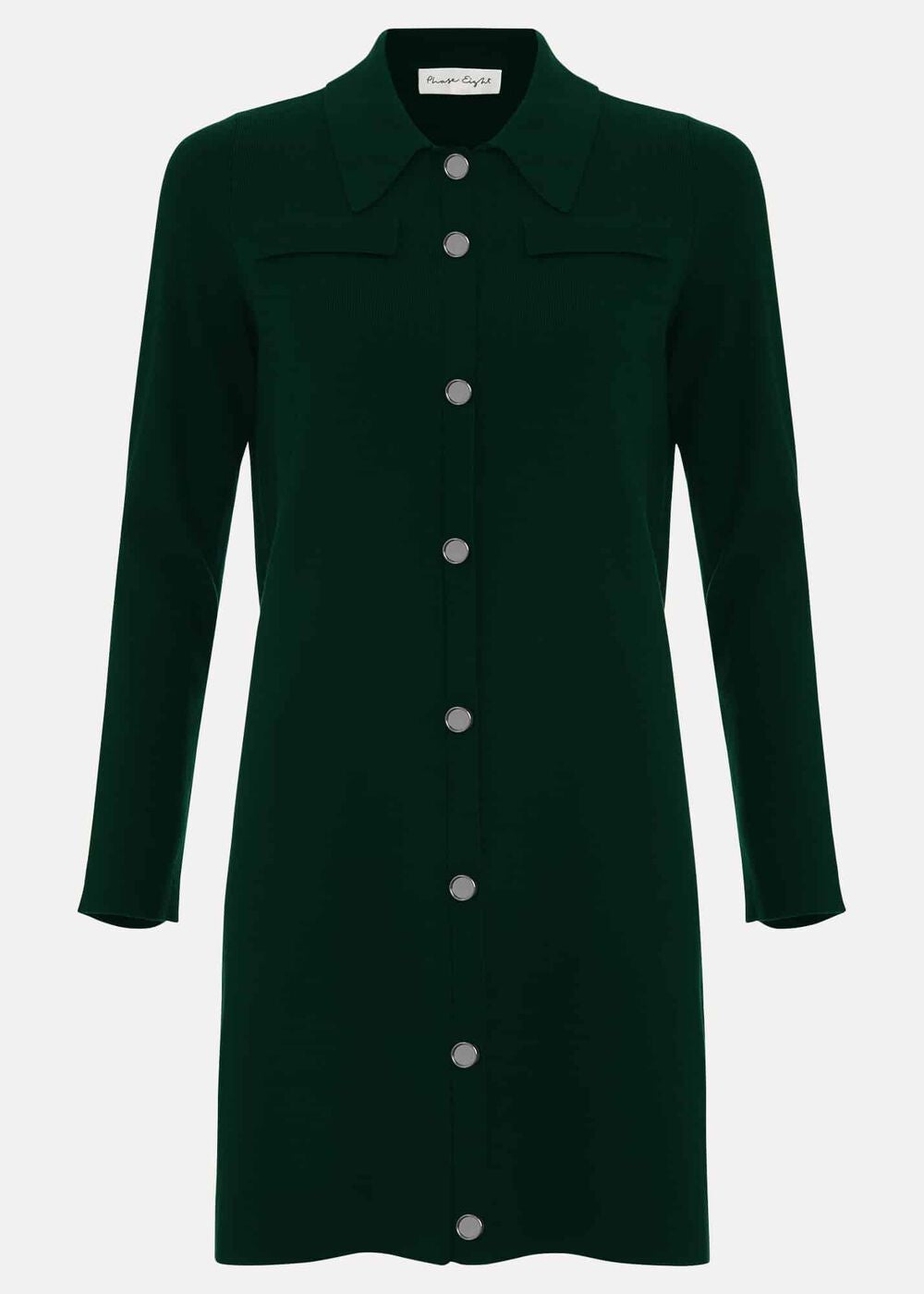 Azealia Fine Knit Collared Tunic Dress Green