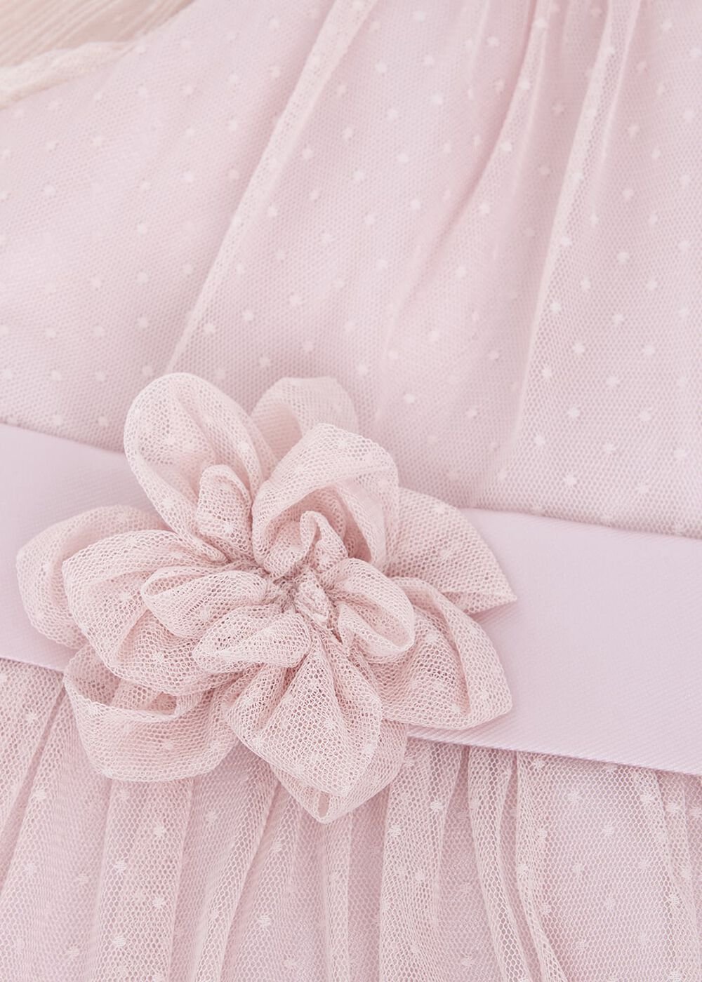 Jasmine Tulle Fit And Flare Dress Antique Rose