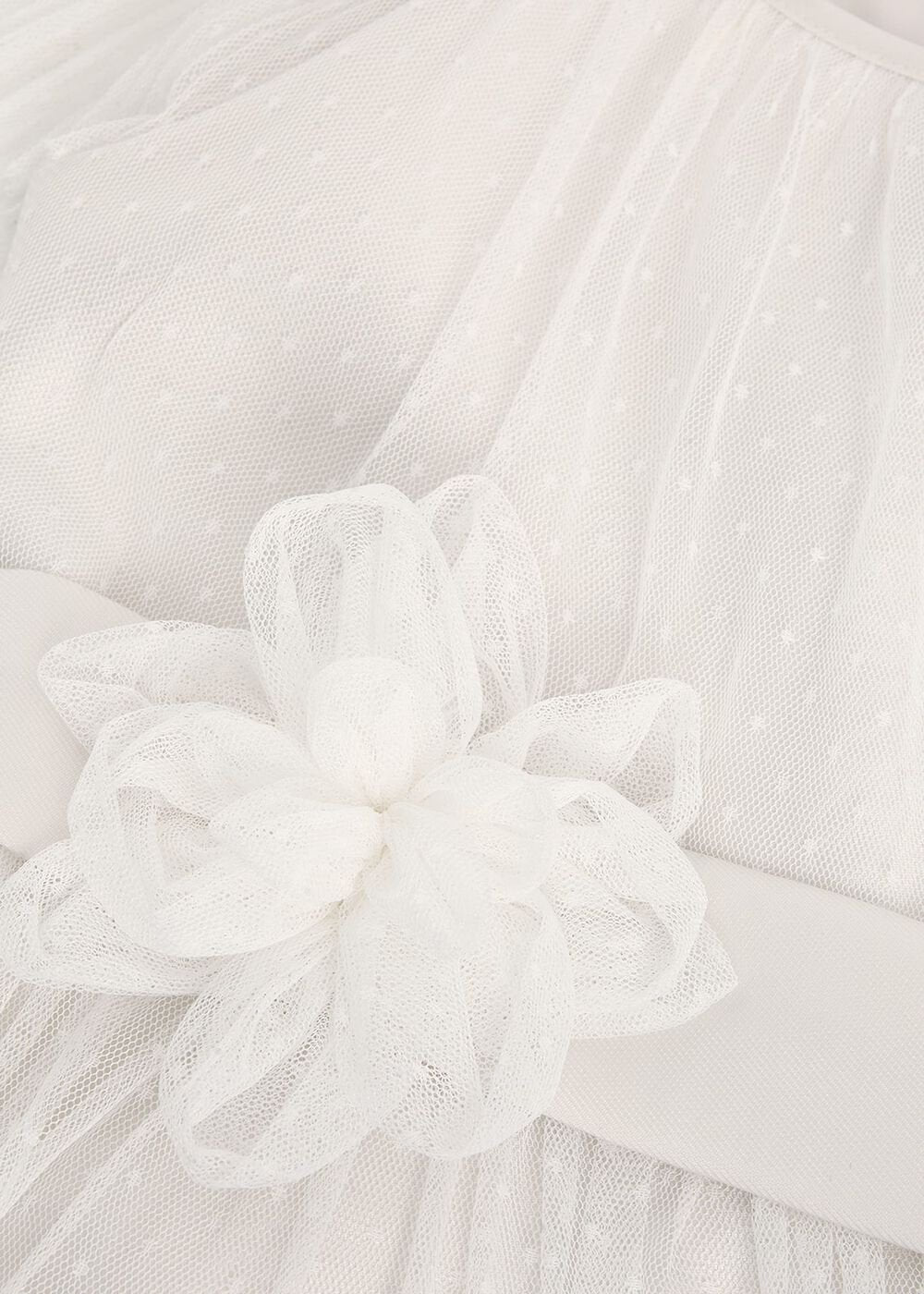 Jasmine Tulle Fit And Flare Dress Ivory