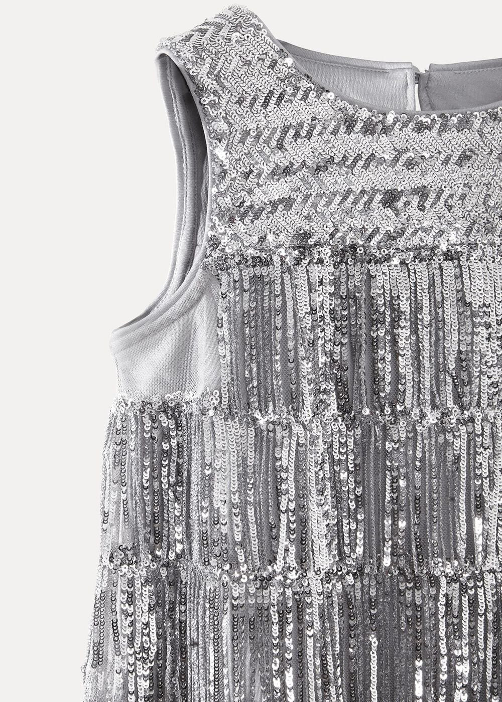 Lulu Fringe Sequin Dress Silver