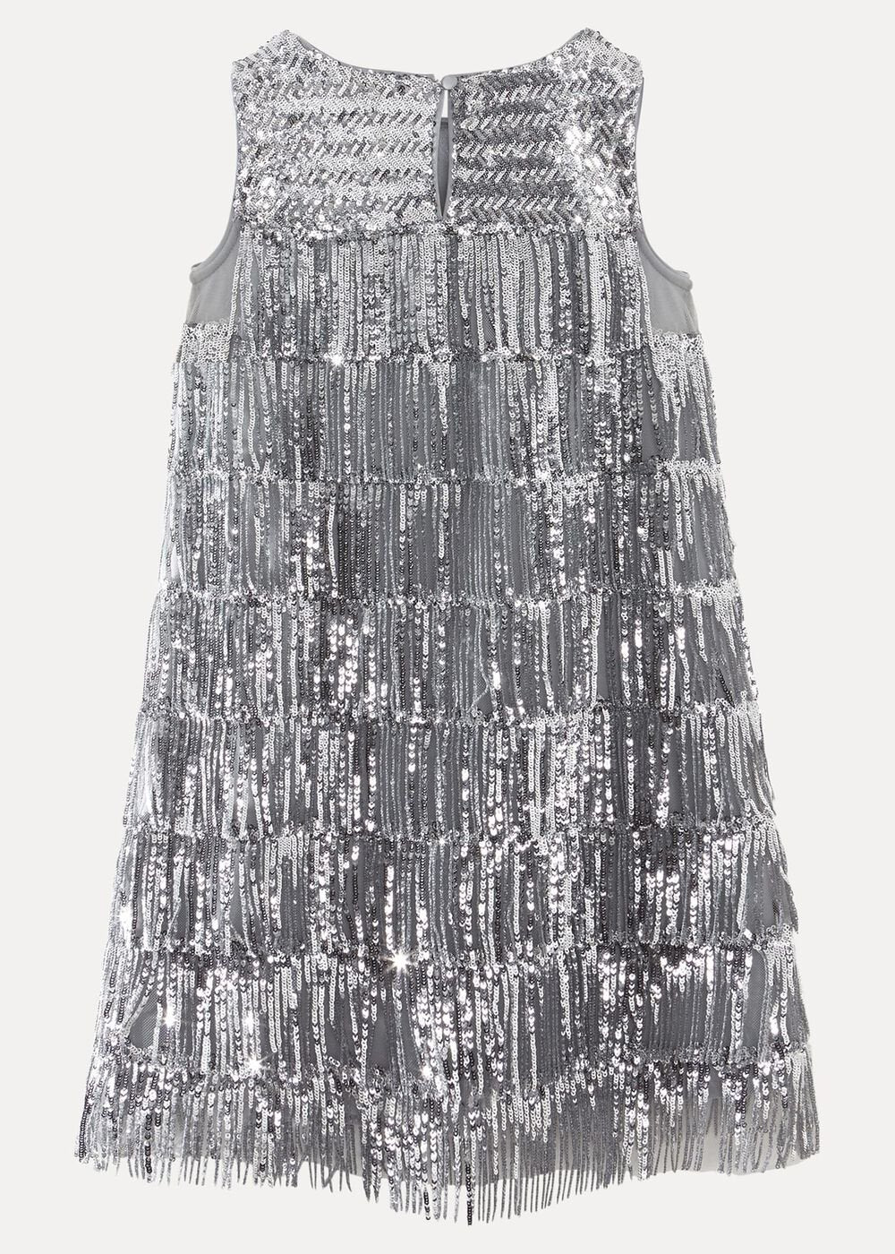 Lulu Fringe Sequin Dress Silver