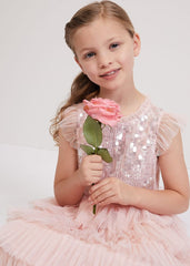 Bobbi Pale Pink Beaded Tulle Dress Pale Pink