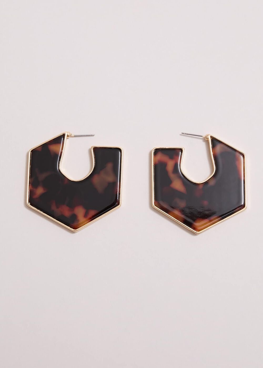 Tort Large Hoop Earrings Brown