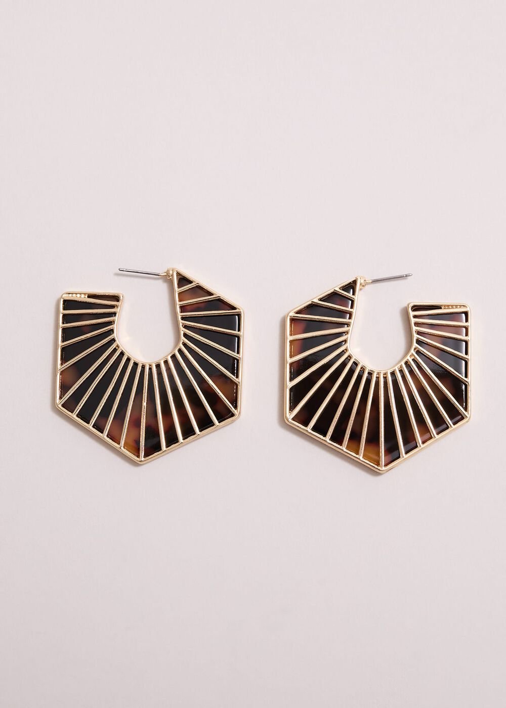 Tort Large Hoop Earrings Brown